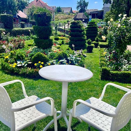 City Garden Kolašin Eksteriør billede